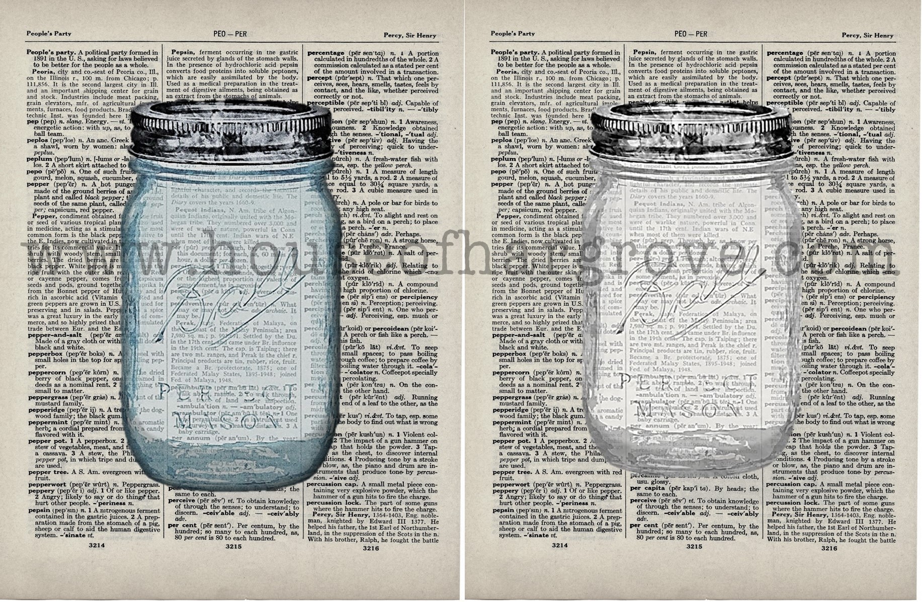 Mason Jar Art (12)