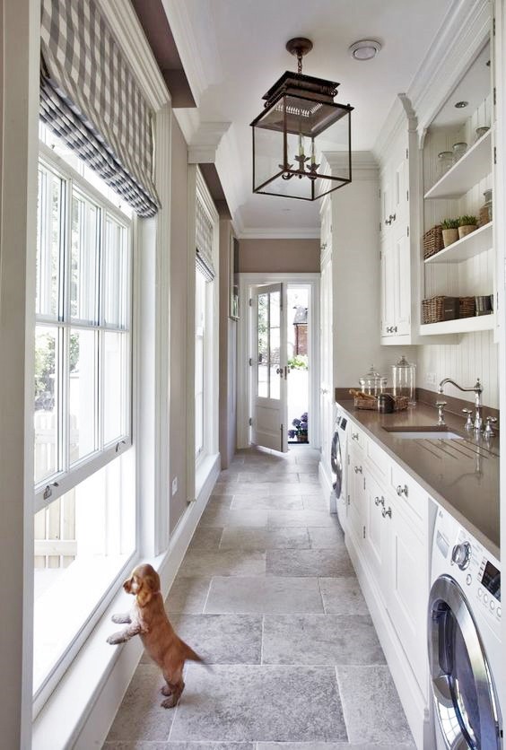 Puppy and Laundry Room