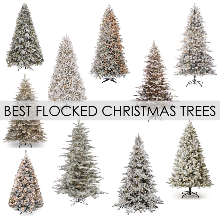 BEST FLOCKED CHRISTMAS TREES - House of Hargrove