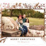 Family photos and Christmas card